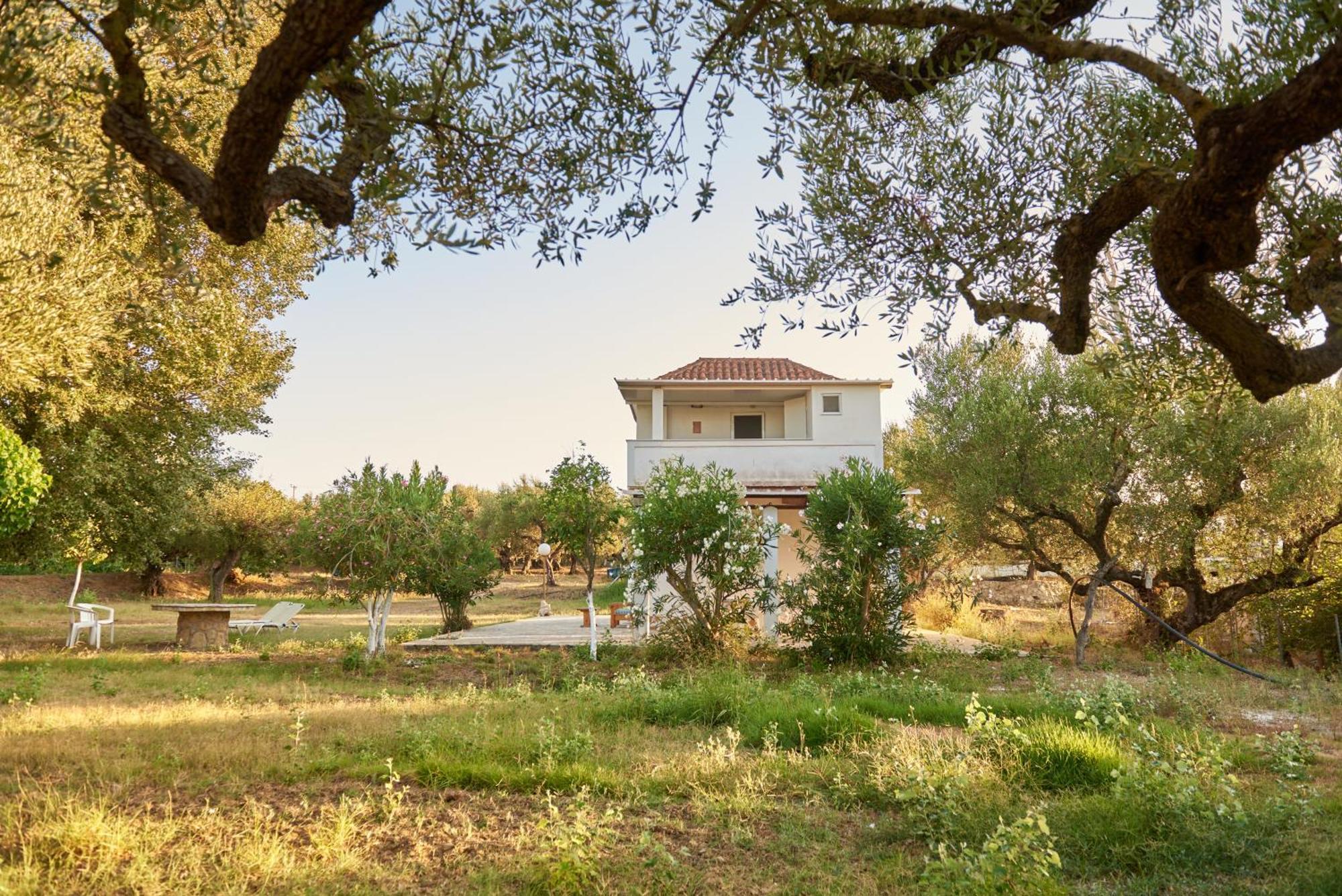 Villa Rania / Zante Drosia Kypseli Extérieur photo