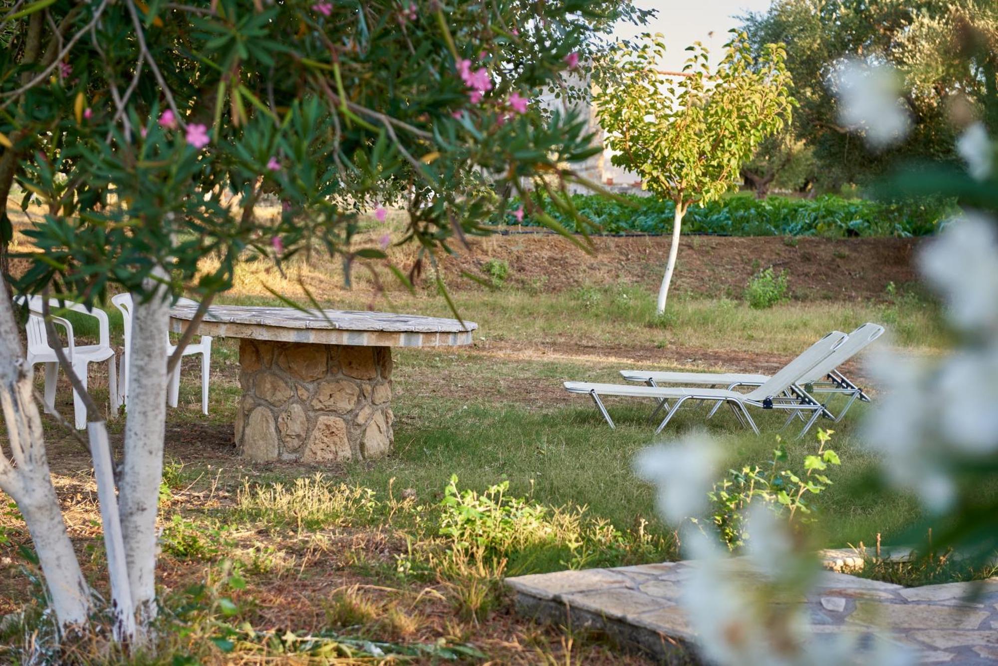Villa Rania / Zante Drosia Kypseli Extérieur photo